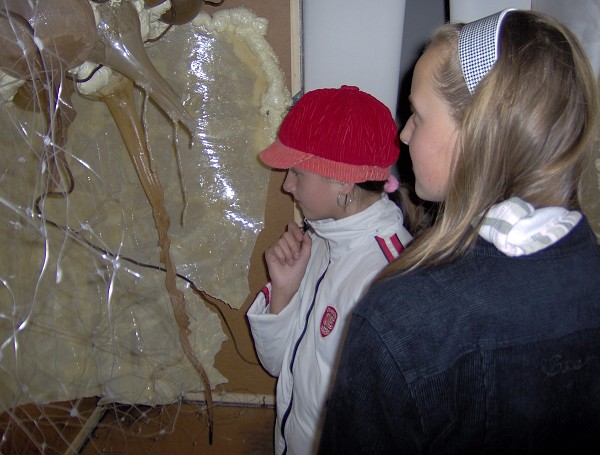 �aro jari 2007